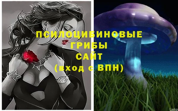 mdpv Арсеньев